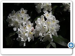 054_Wasserschloss_Herten
