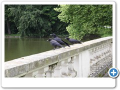 136_Schloss_Nordkirchen