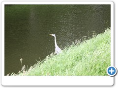 150_Schloss_Nordkirchen