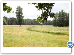054_Schloss_Raesfeld_2019
