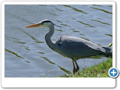 067_Schloss_Raesfeld_2020