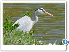070_Schloss_Raesfeld_2020