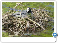 072_Schloss_Raesfeld_2020