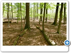 073_Schloss_Raesfeld_2020