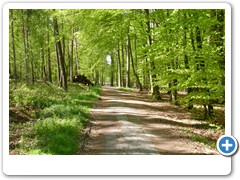 074_Schloss_Raesfeld_2020