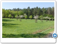 075_Schloss_Raesfeld_2020