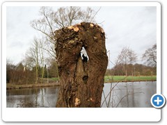 007_Wasserschloss_Schermbeck