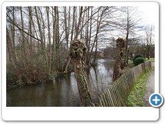 008_Wasserschloss_Schermbeck
