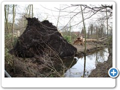 012_Wasserschloss_Schermbeck