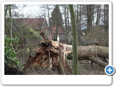 013_Wasserschloss_Schermbeck