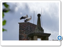 064_Burg_Vischering_2020