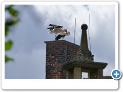 065_Burg_Vischering_2020