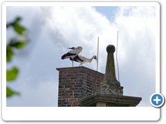 066_Burg_Vischering_2020