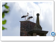 067_Burg_Vischering_2020