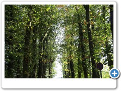 006_Wasserschloss_Werdringen_Hagen_2012