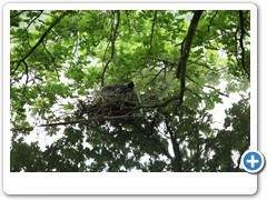 0010_Wasserschloss Wittringen_Gladbeck_2016