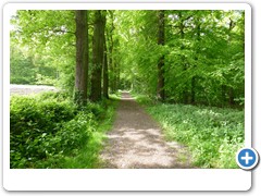 0043_Wasserschloss_Wittringen_Gladbeck_2020