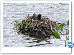 0045_Wasserschloss_Wittringen_Gladbeck_2020