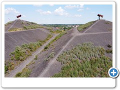 0100_Halde_Rungenberg_2020
