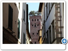 0367_Lucca_Torre_Guinigi