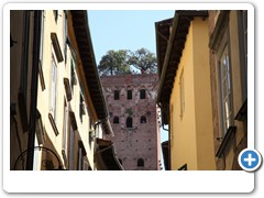 0369_Lucca_Torre_Guinigi