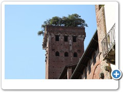 0370_Lucca_Torre_Guinigi