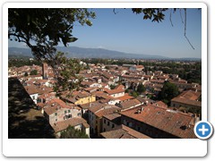 0376_Lucca_Torre_Guinigi