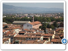 0377_Lucca_Torre_Guinigi