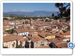 0380_Lucca_Torre_Guinigi