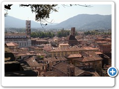 0381_Lucca_Torre_Guinigi
