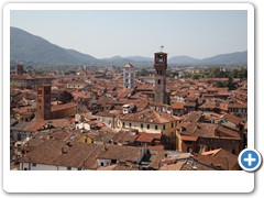 0382_Lucca_Torre_Guinigi