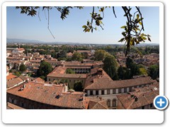 0384_Lucca_Torre_Guinigi