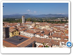 0385_Lucca_Torre_Guinigi