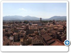 0388_Lucca_Torre_Guinigi