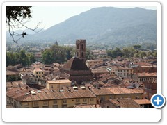 0389_Lucca_Torre_Guinigi