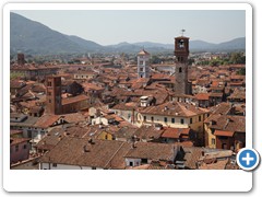 0391_Lucca_Torre_Guinigi