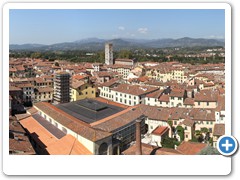0392_Lucca_Torre_Guinigi