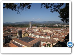0393_Lucca_Torre_Guinigi