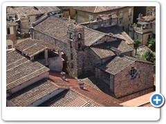 0394_Lucca_Torre_Guinigi