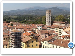 0396_Lucca_Torre_Guinigi