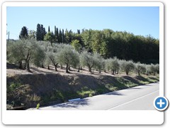 1152_SR222_Chianti_Route_Florenz_Siena