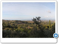 1159D_Montepulciano