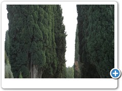 1272_Montepulciano_San_Biaggio