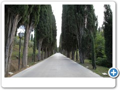 1273_Montepulciano_San_Biaggio