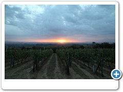1311_Montepulciano_Sonnenaufgang