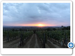 1312_Montepulciano_Sonnenaufgang