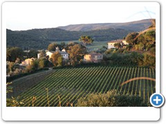 1326_Montepulciano_Sonnenaufgang