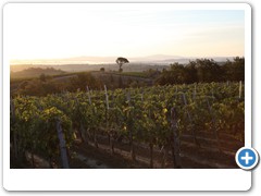 1328_Montepulciano_Sonnenaufgang