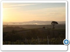 1329_Montepulciano_Sonnenaufgang