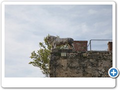 0445_Pisa_Stadtmauer